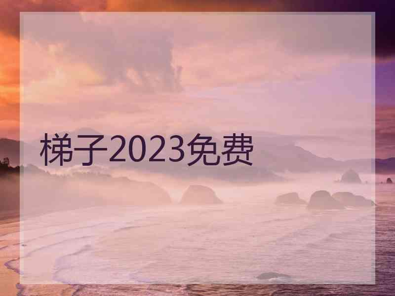 梯子2023免费