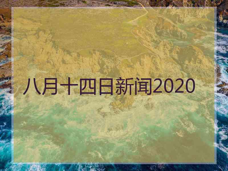 八月十四日新闻2020