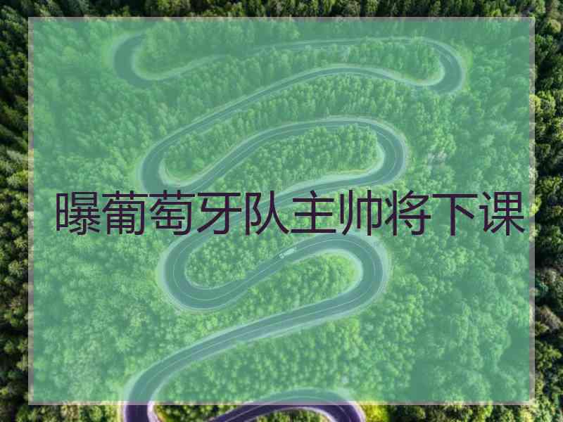 曝葡萄牙队主帅将下课