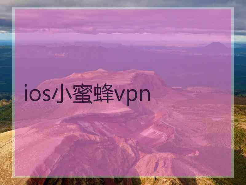 ios小蜜蜂vpn