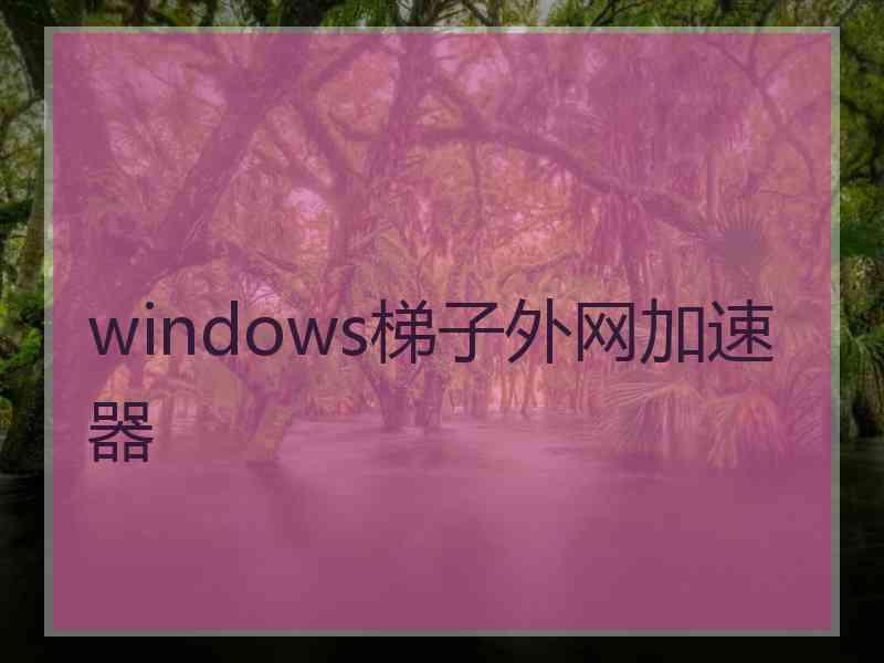 windows梯子外网加速器