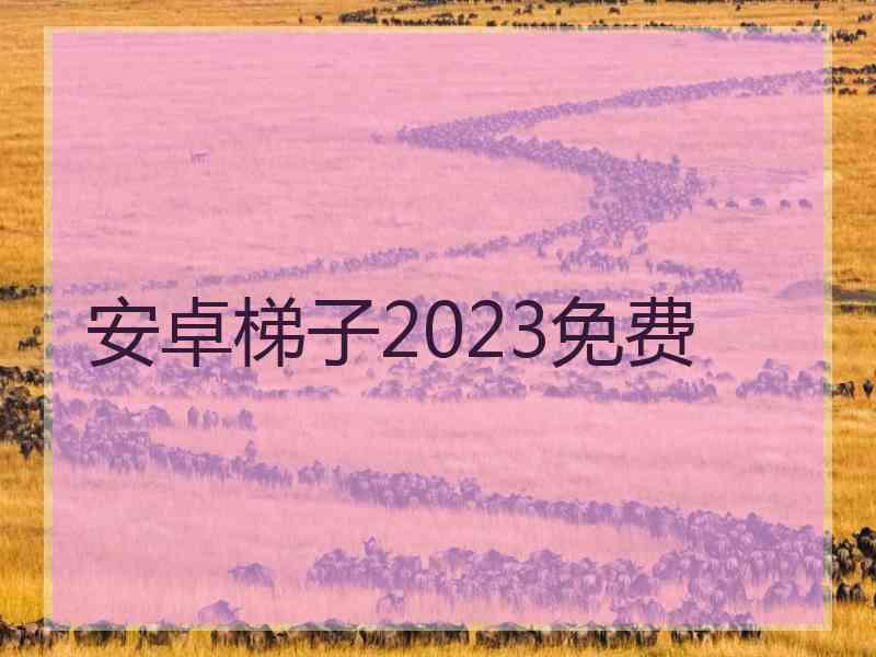 安卓梯子2023免费