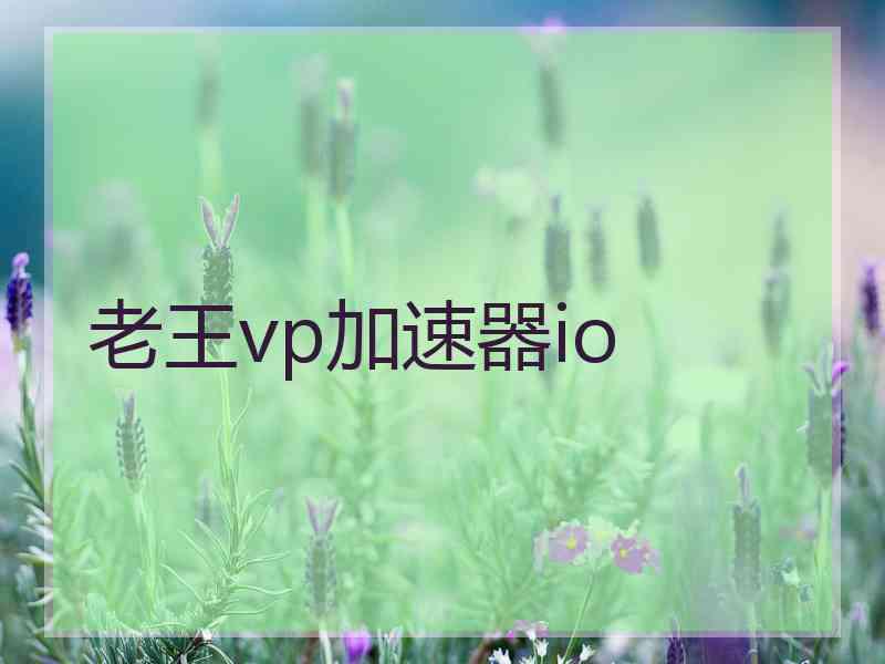 老王vp加速器io