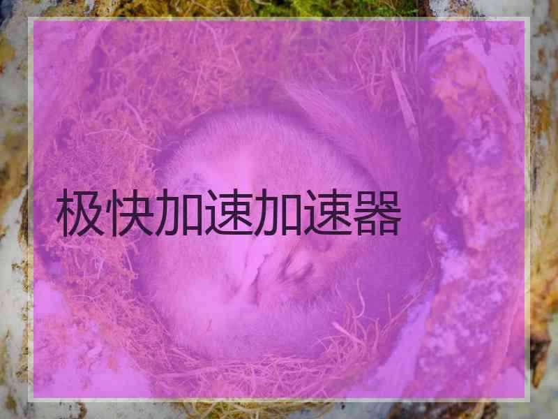 极快加速加速器