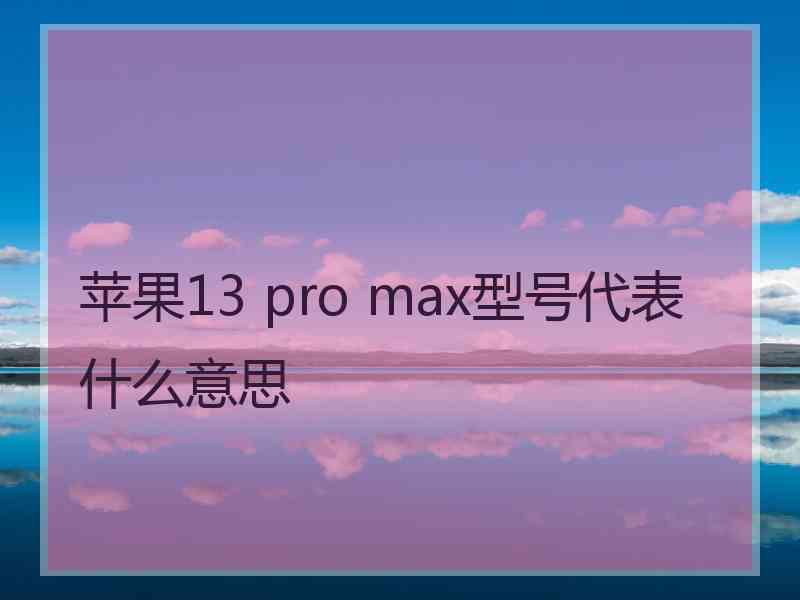 苹果13 pro max型号代表什么意思