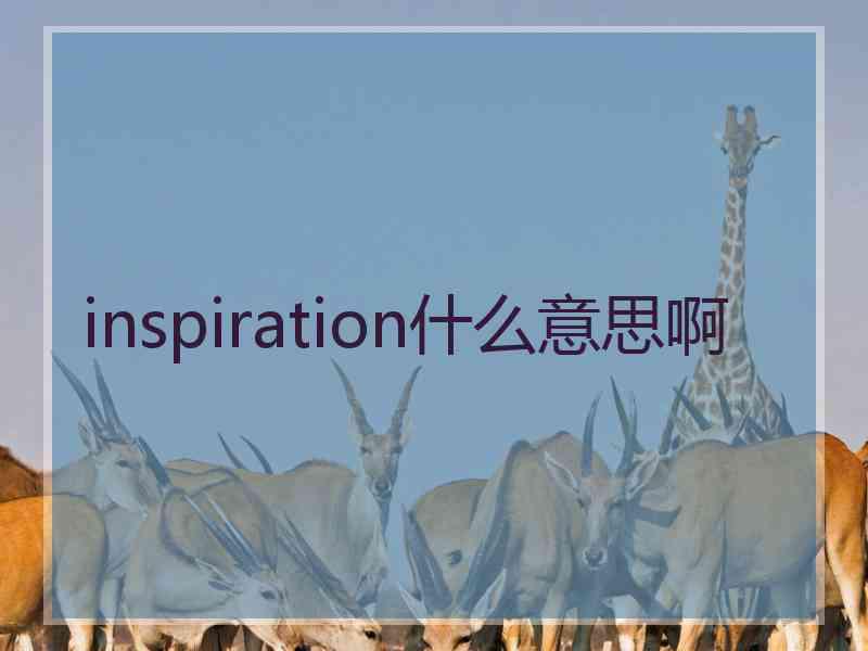 inspiration什么意思啊