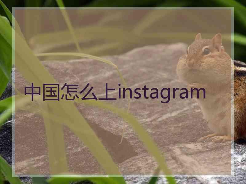 中国怎么上instagram