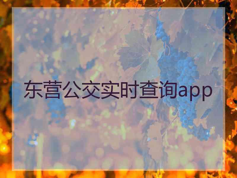 东营公交实时查询app