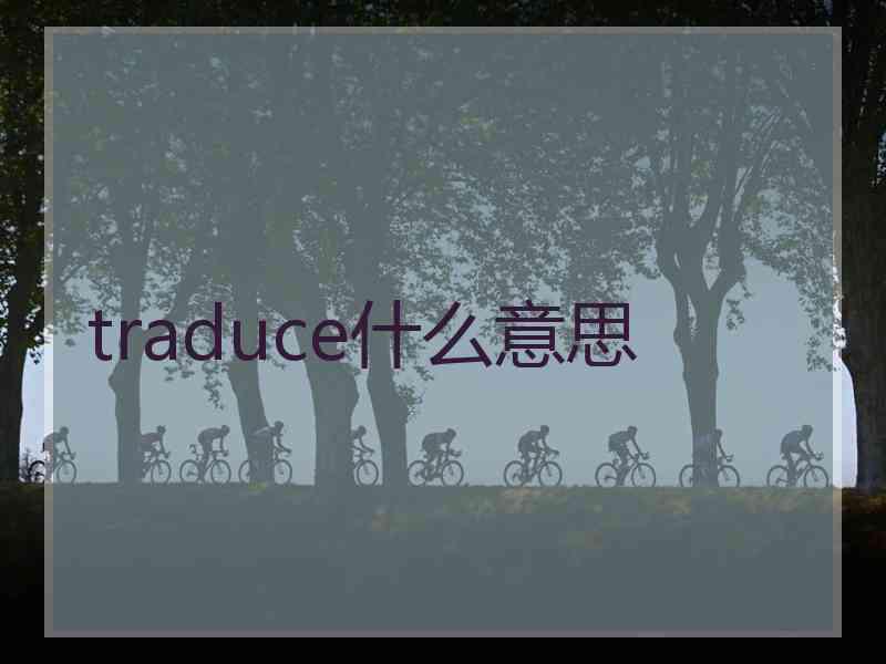 traduce什么意思