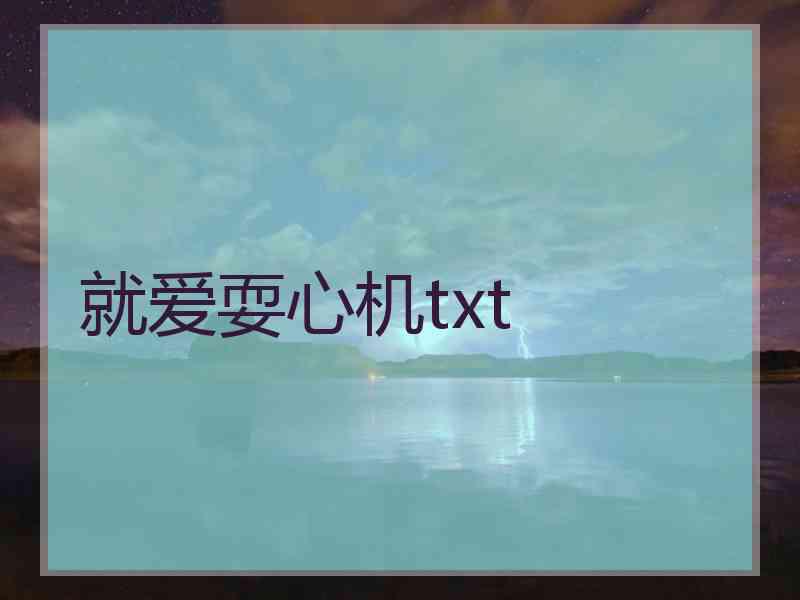 就爱耍心机txt