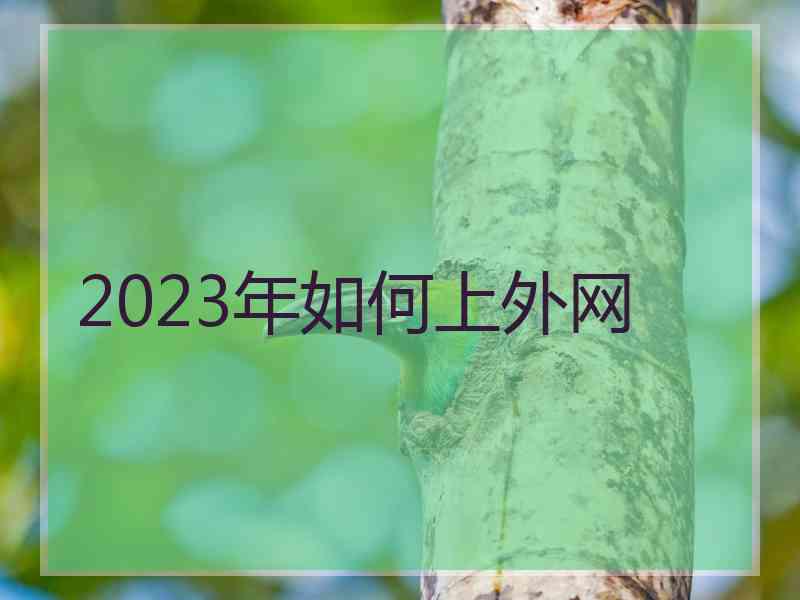 2023年如何上外网