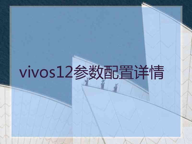 vivos12参数配置详情