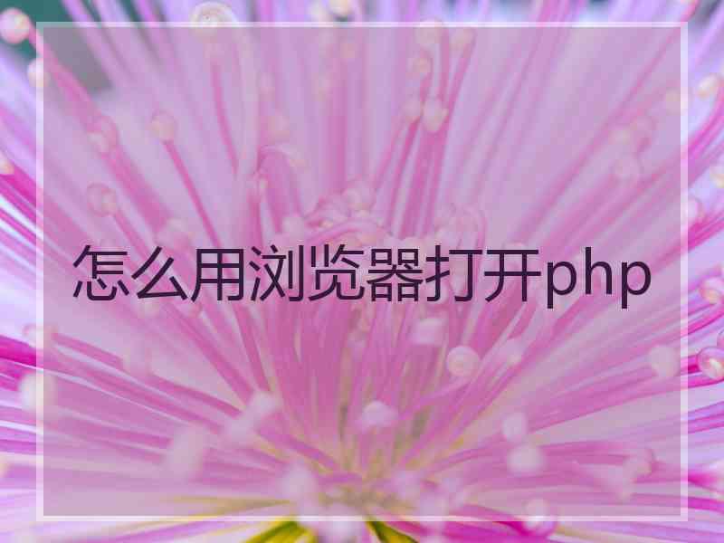 怎么用浏览器打开php