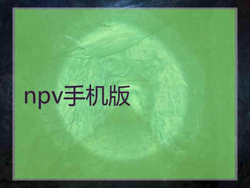 npv手机版