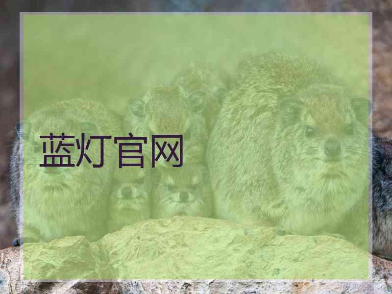 蓝灯官网