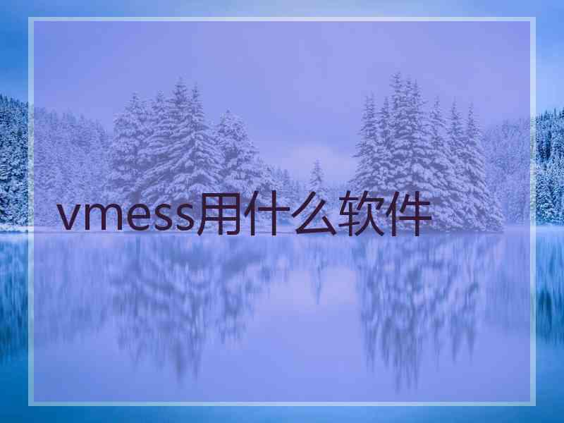 vmess用什么软件