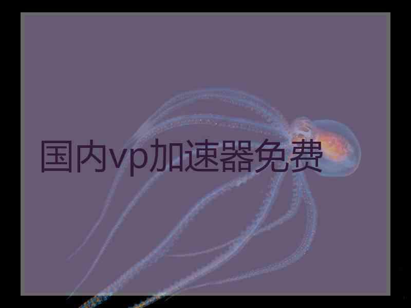 国内vp加速器免费