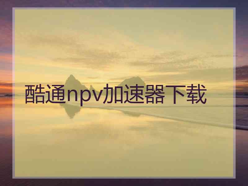 酷通npv加速器下载