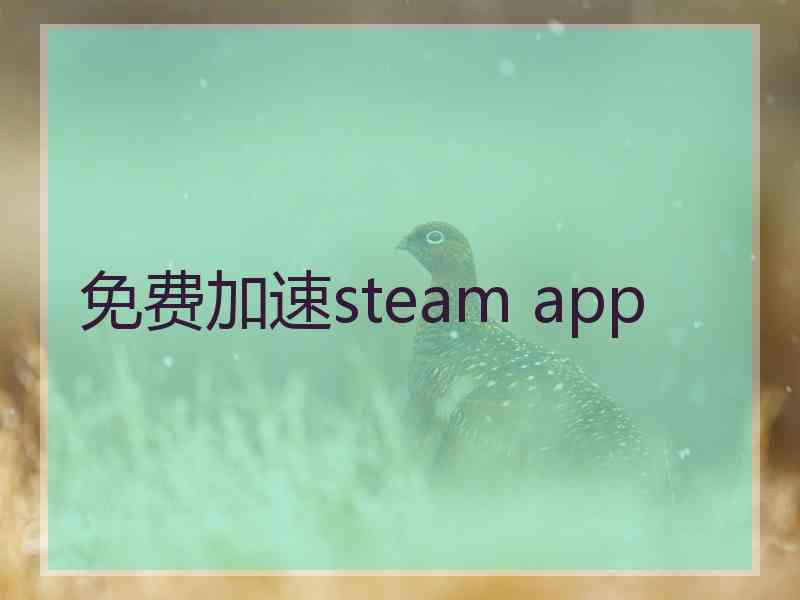 免费加速steam app