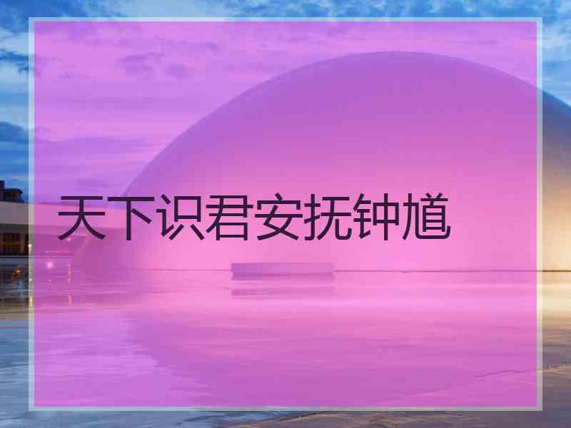 天下识君安抚钟馗