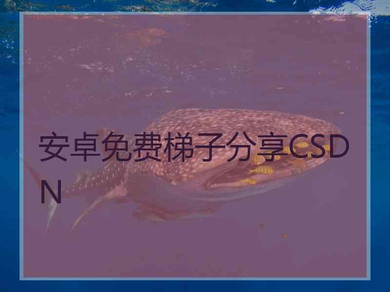 安卓免费梯子分享CSDN