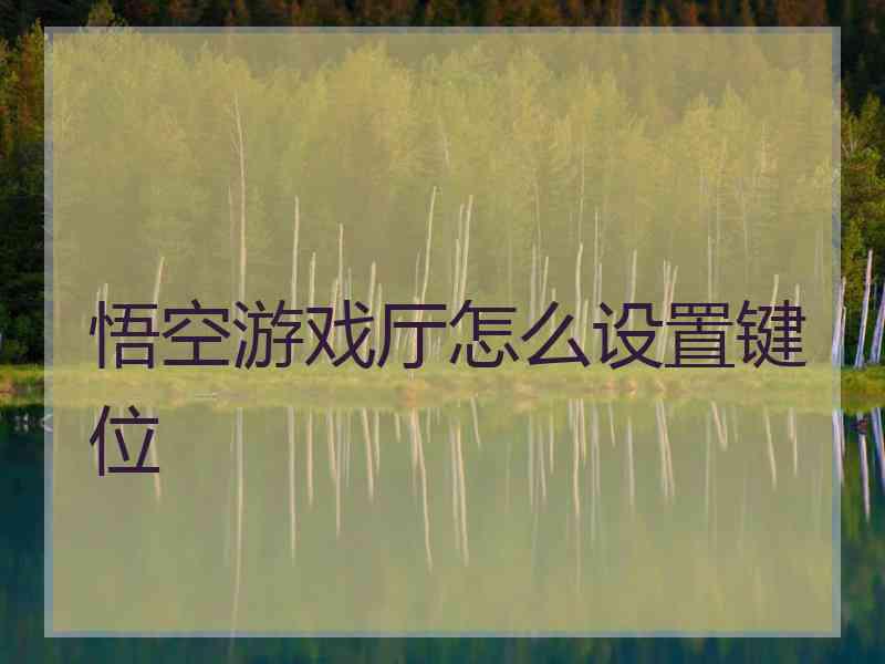 悟空游戏厅怎么设置键位