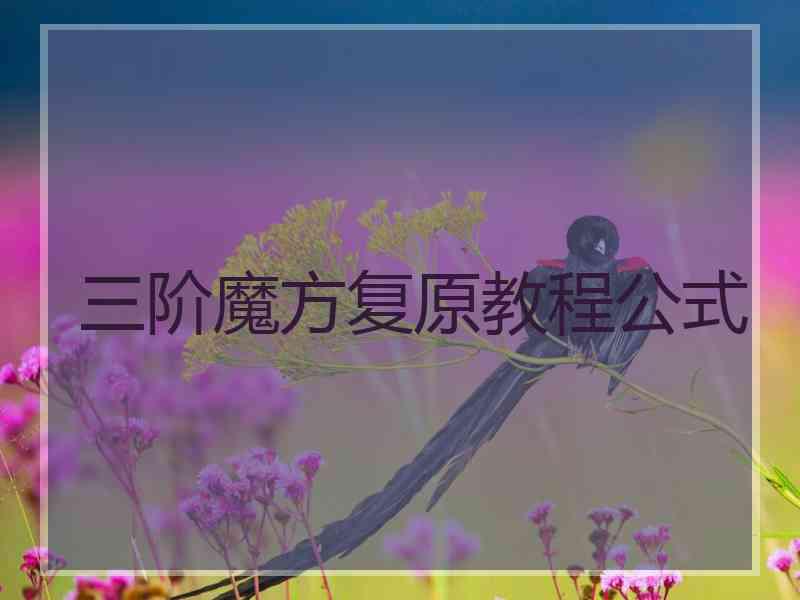 三阶魔方复原教程公式