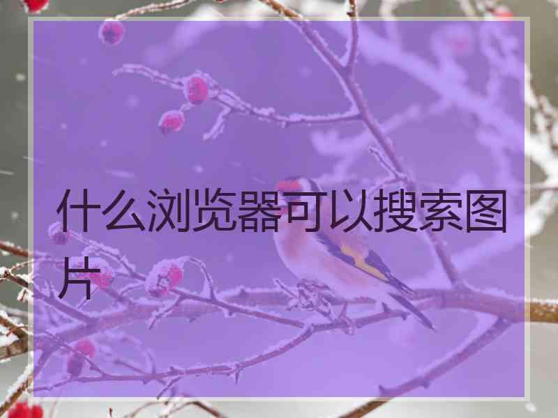 什么浏览器可以搜索图片