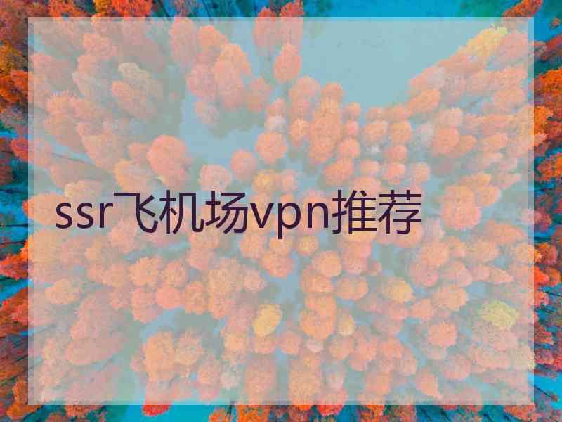 ssr飞机场vpn推荐