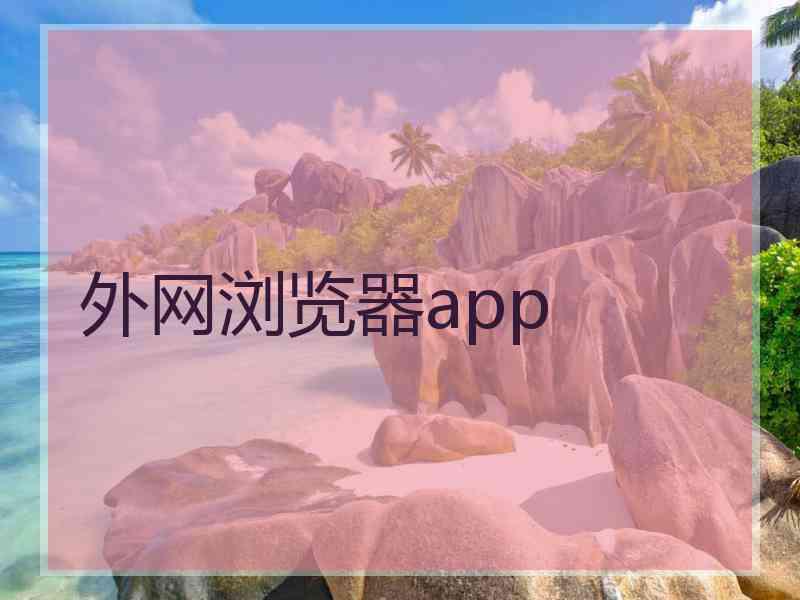 外网浏览器app