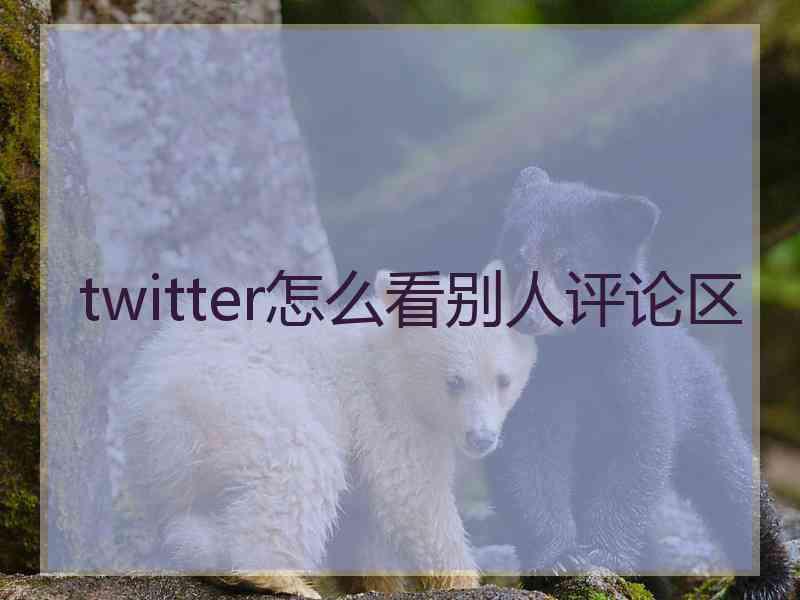 twitter怎么看别人评论区