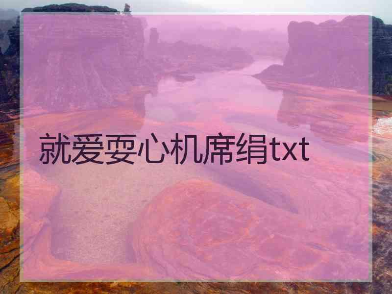 就爱耍心机席绢txt