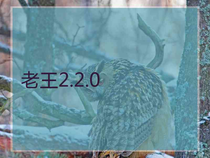 老王2.2.0