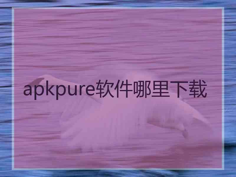 apkpure软件哪里下载