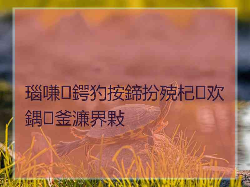 瑙嗛鍔犳按鍗扮殑杞欢鍝釜濂界敤