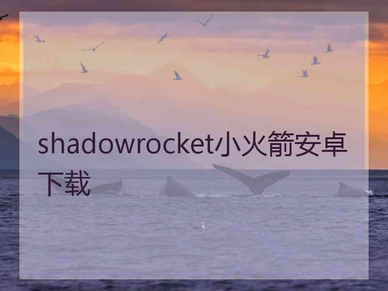 shadowrocket小火箭安卓下载