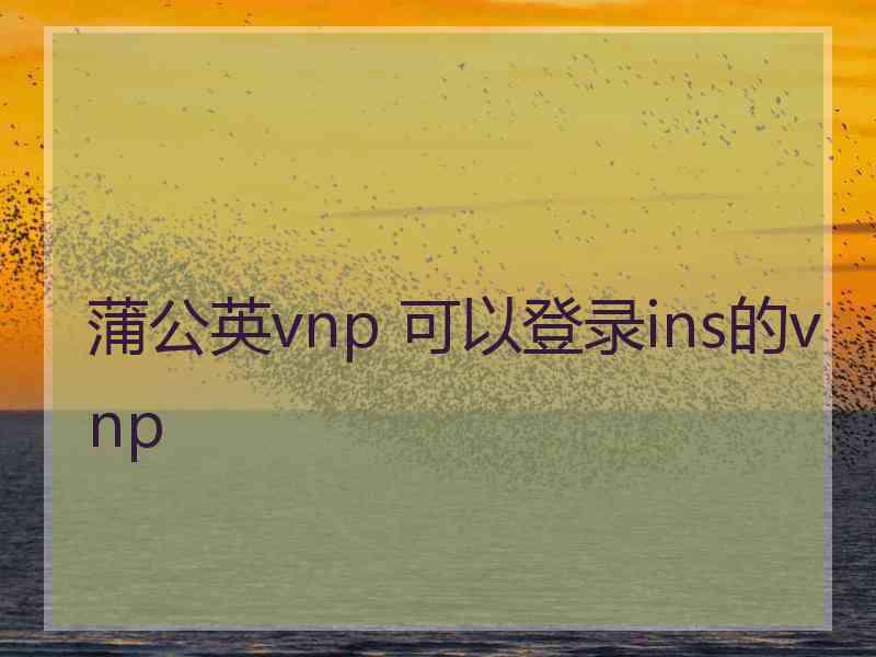 蒲公英vnp 可以登录ins的vnp