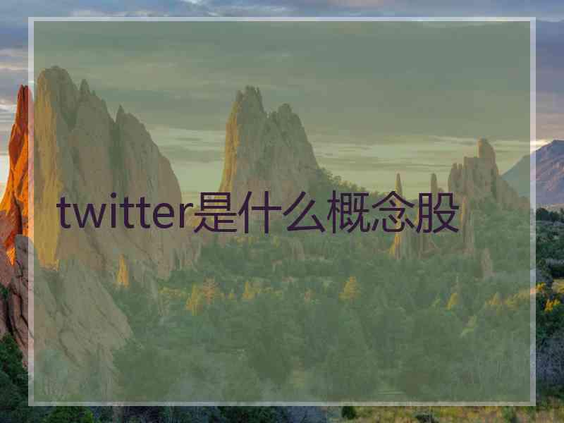 twitter是什么概念股