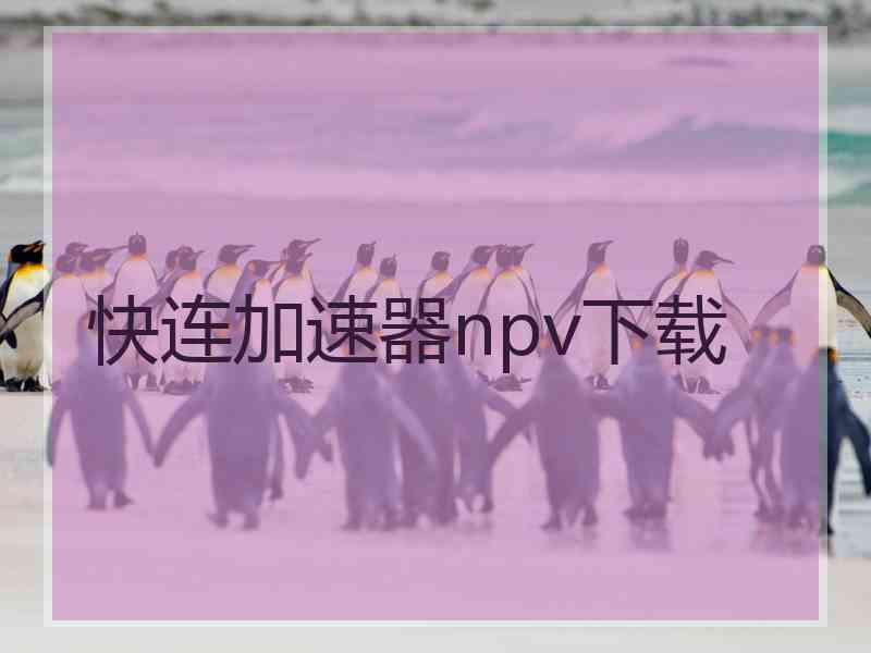 快连加速器npv下载