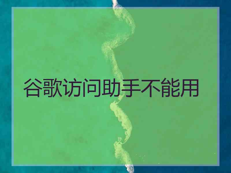 谷歌访问助手不能用