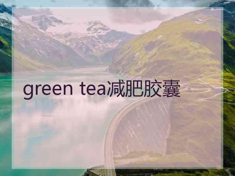 green tea减肥胶囊