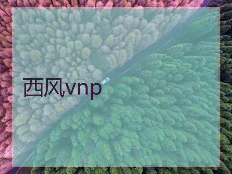 西风vnp