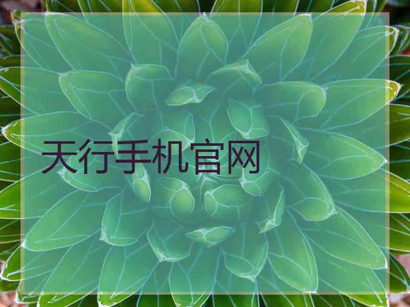 天行手机官网