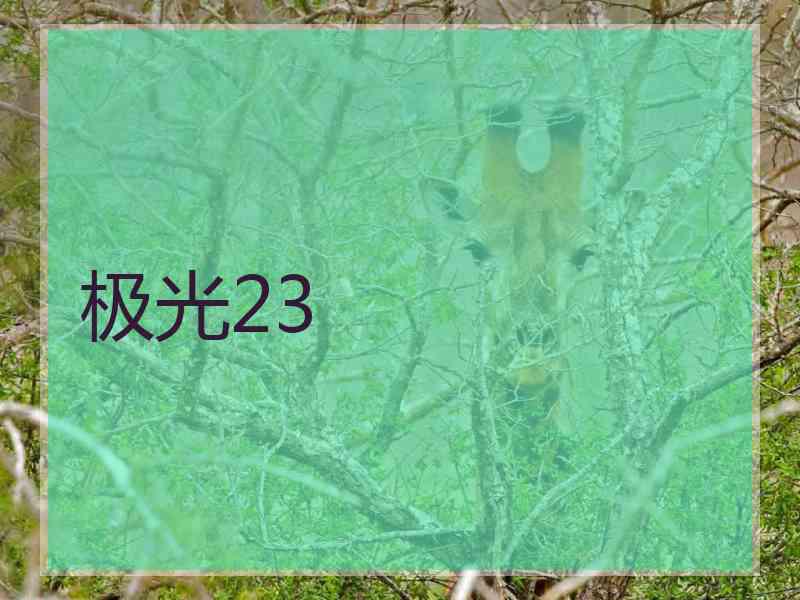 极光23