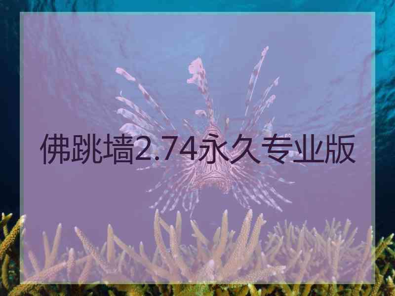 佛跳墙2.74永久专业版