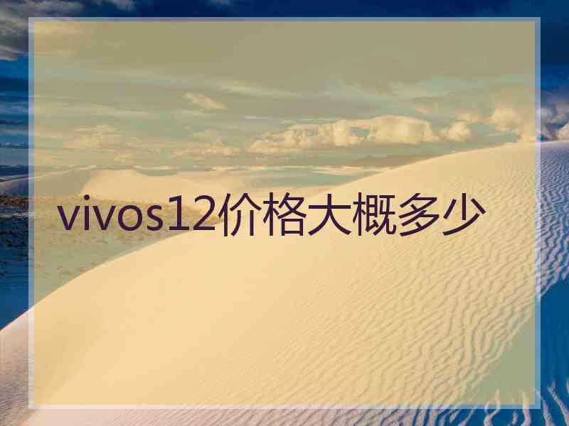 vivos12价格大概多少