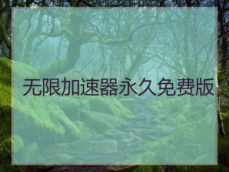 无限加速器永久免费版