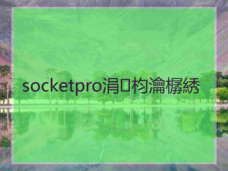 socketpro涓枃瀹樼綉