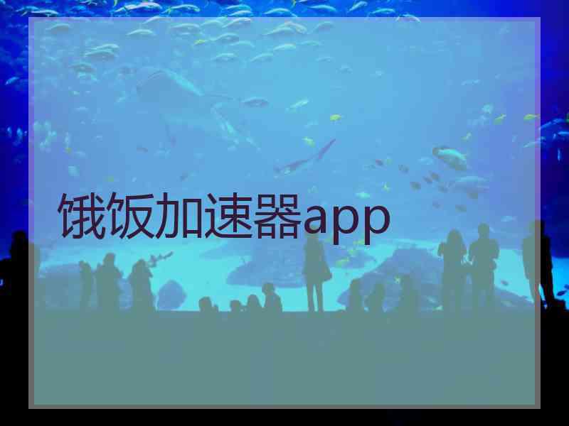 饿饭加速器app