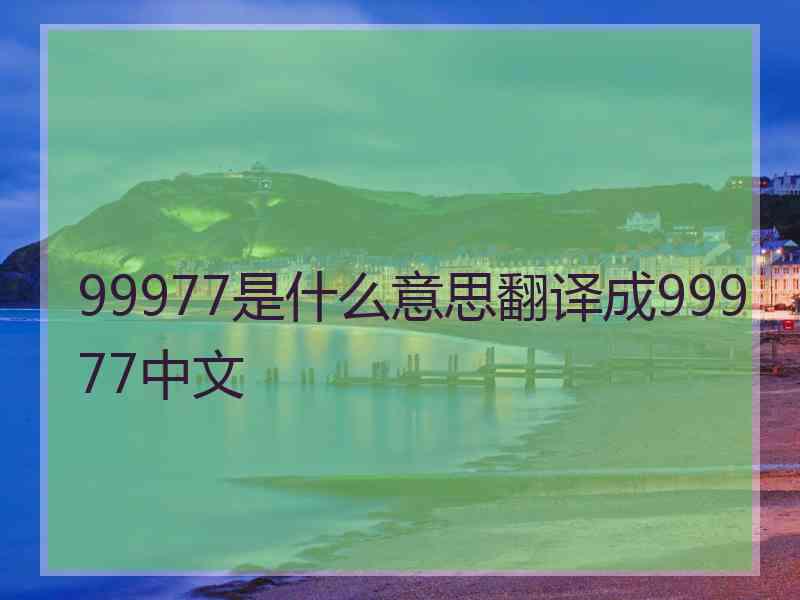 99977是什么意思翻译成99977中文